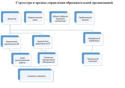 Структура и органы управления ОО